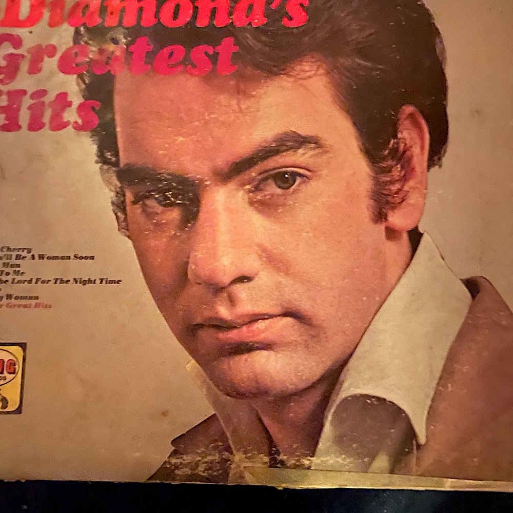 Vintage Vinyl LP